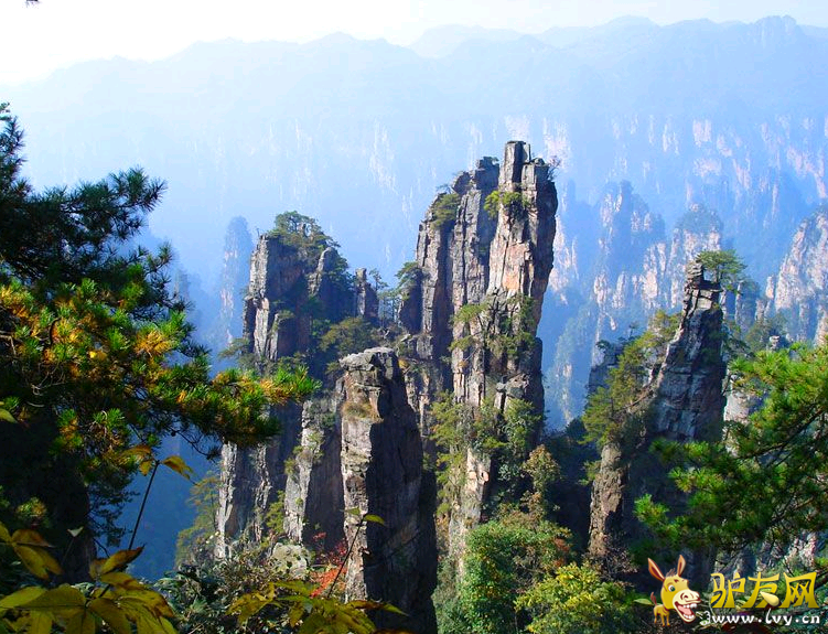 QQ图片20160419170921.png